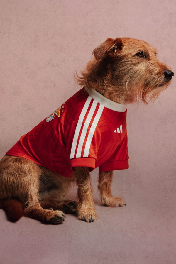 adidas Originals Outfits Pets in Real Madrid and Manchester United Kits
