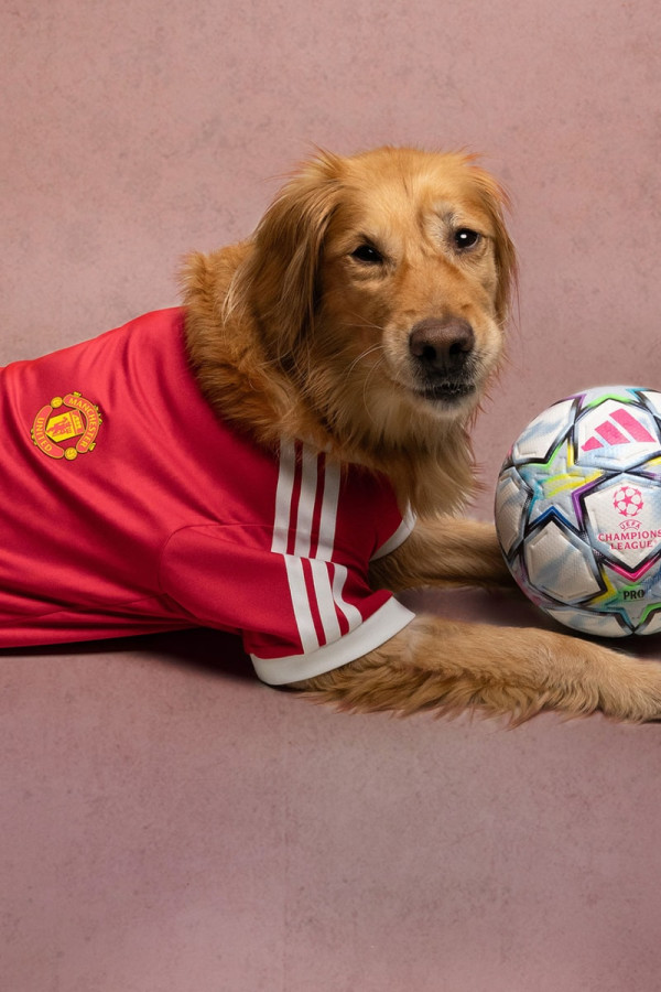 adidas Originals Outfits Pets in Real Madrid and Manchester United Kits