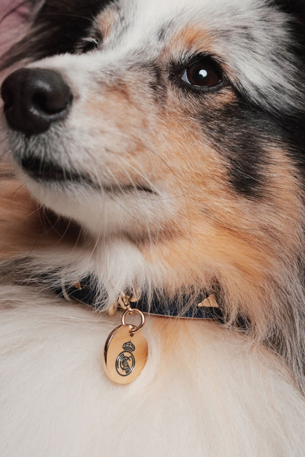 adidas Originals Outfits Pets in Real Madrid and Manchester United Kits