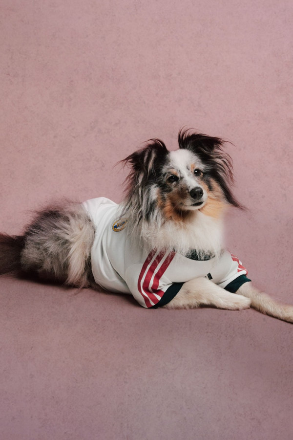 adidas Originals Outfits Pets in Real Madrid and Manchester United Kits