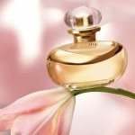 Brazil’s O Boticário launches its Perfumery Club in Grasse, France