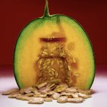 BornToStandOut introduces Melón Malo, a dark twist on the melon gourmand