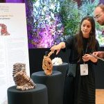 Luxe Pack - Édition Spéciale: The eco-design packaging show gets a makeover