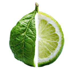 Mane boosts citrus innovation and capabilities with Cvista acquisition